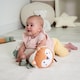 image 9 of Red Kite Tummy Time Roller - Woodland Walks | Brown | Woodland Walks | 1