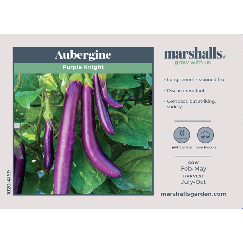 image 1 of Marshalls Garden Aubergine Seeds 'Purple Knight' Compact, Disease-Resistant Variety 10 seeds