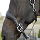 image 2 of Rhinegold Softee Pro Black | Size: Pony
Colour: Black