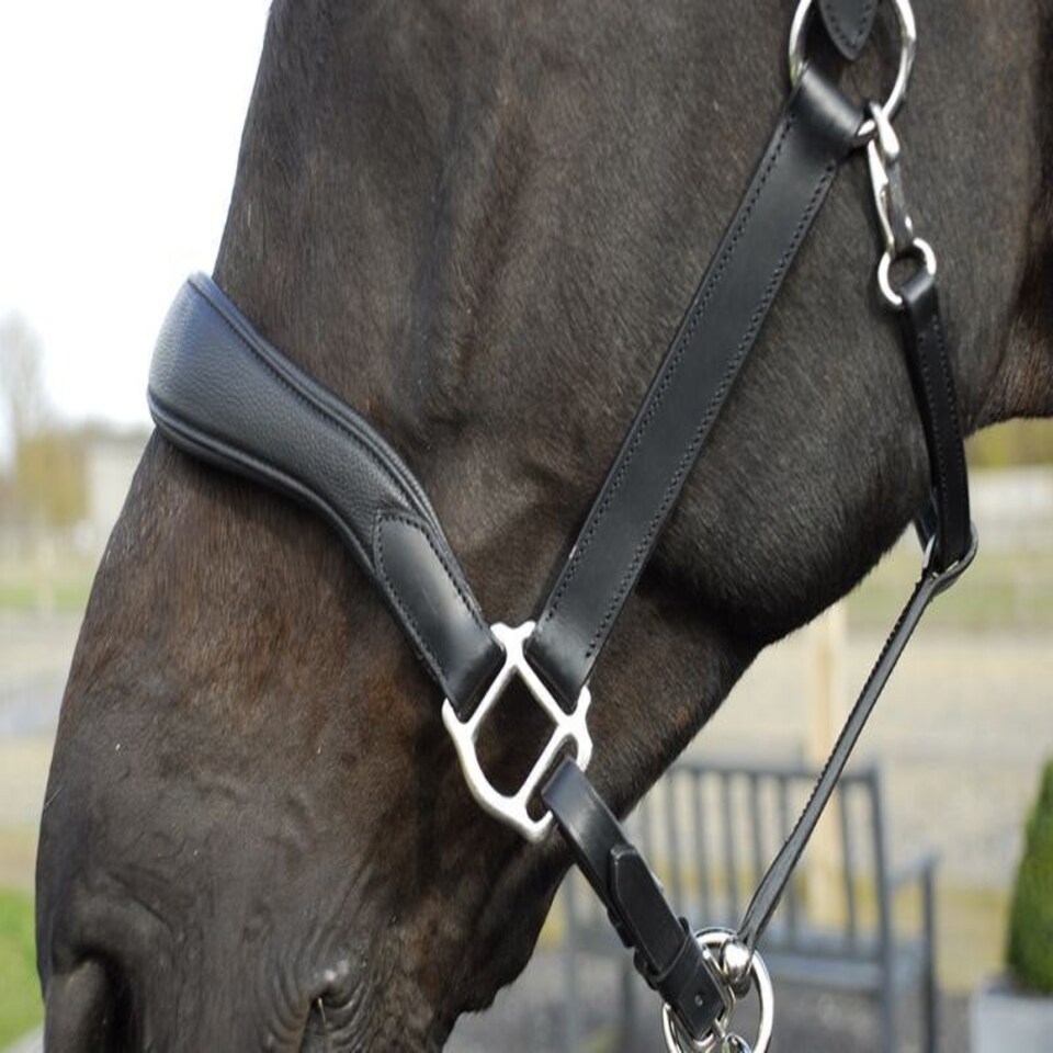 image 1 of Rhinegold Softee Pro Black | Size: Pony
Colour: Black