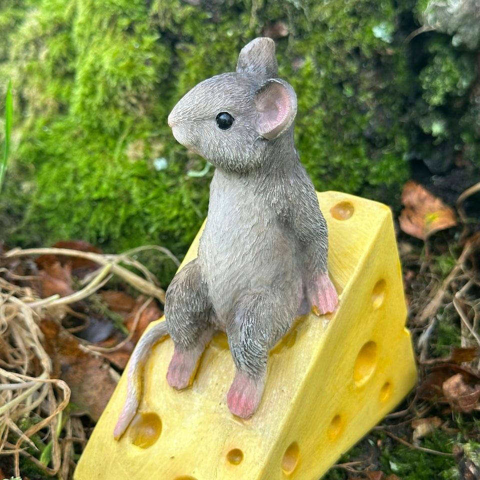 image 1 of Animal Crackers Mouse On Cheese Wedge Fairy Woodland Garden Ornament, Mice Lover Gift