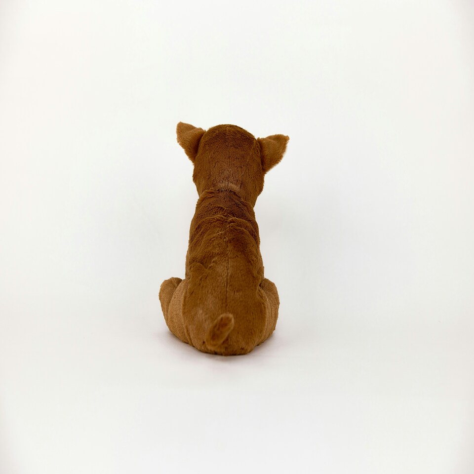 image 1 of Warmies Plush Chihuahua Microwavable LARGE