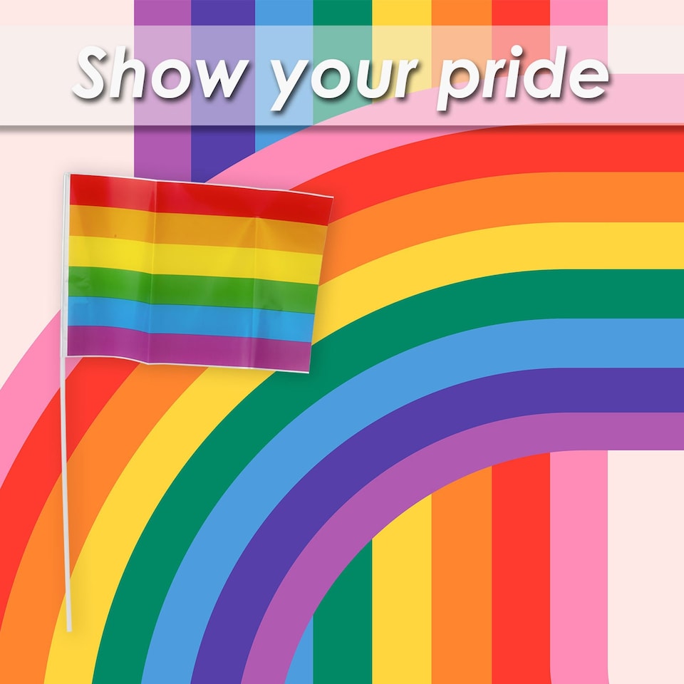 image 1 of PMS Rainbow Pride Flag 30 x 20 cm - LGBT Rainbow Stripes