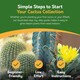 image 4 of Pronto Seed Grow Your Own Cactus Flower Seed Kit - 5 Succulent Varieties - A Low Maintenance Gift That Lasts | Multi | Cactus | 1