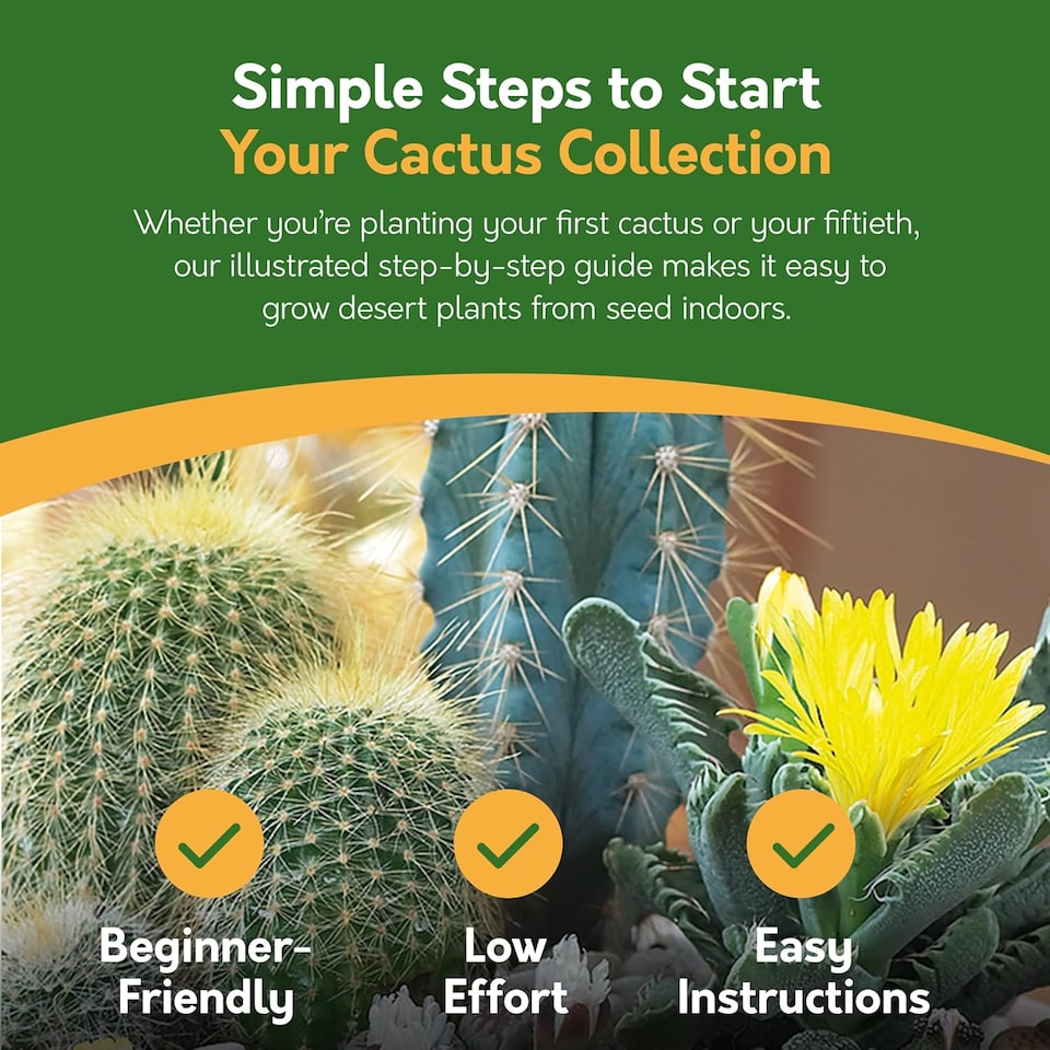 image 1 of Pronto Seed Grow Your Own Cactus Flower Seed Kit - 5 Succulent Varieties - A Low Maintenance Gift That Lasts | Multi | Cactus | 1