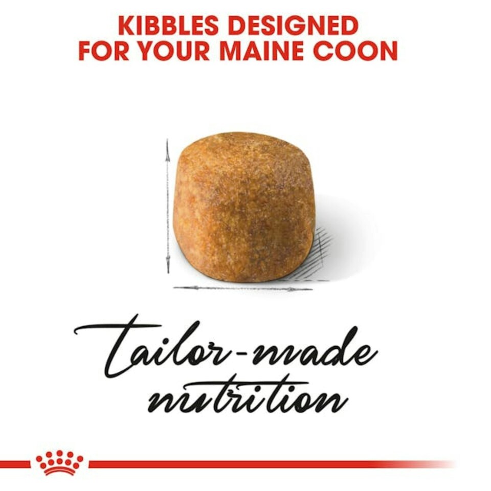 image 1 of Royal Canin Cat Maine Coon Adult - 10KG
