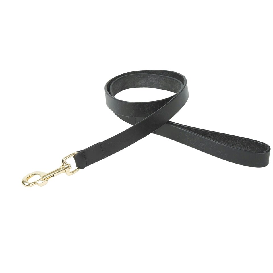 image 1 of Digby & Fox Flat Leather Dog Lead - Black - L
