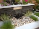 image 5 of Stainless Steel Waterfall Blade Cascade - Sheer descent - Rear Supply L45cm