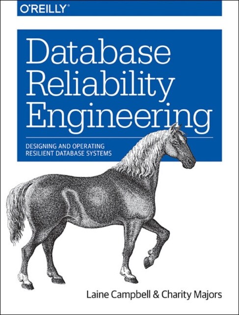 Database Reliability Engineering Paperback Book
