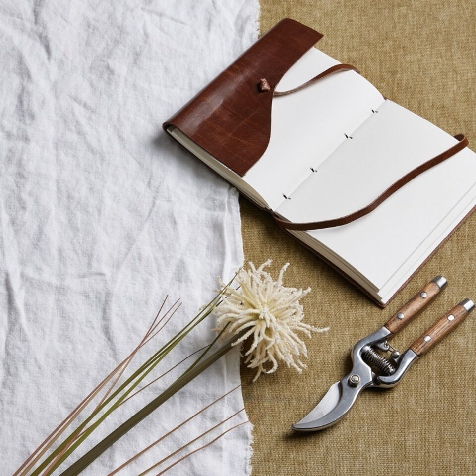 image 1 of Aster Spider Chrysanthemum Stem - Plastic - H80 cm - Cream