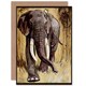image 1 of Bransom Cooper Fables Angola Present Frog Art Card
