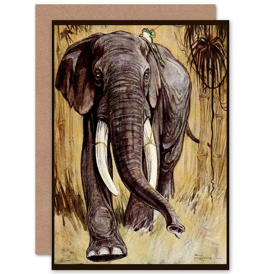 image 1 of Bransom Cooper Fables Angola Present Frog Art Card