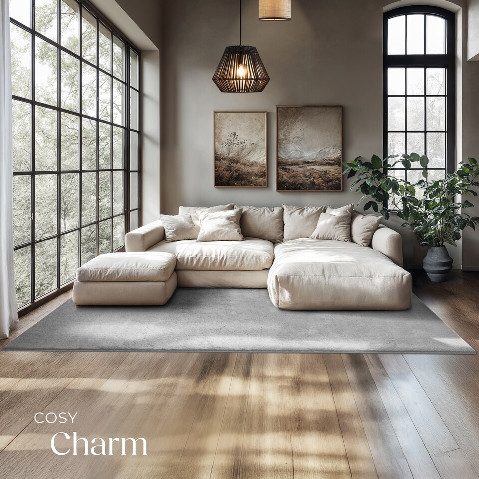 image 1 of Rug Zonelle - short pile and ultra-soft, rectangular or round | Grey | grey | 1