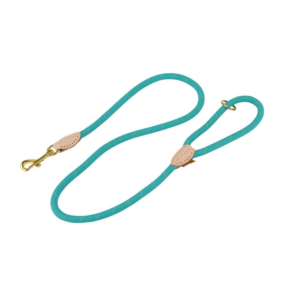 Digby & Fox Reflective Leather Dog Lead - Teal - One Size