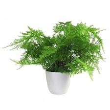 Artificial Fern Plant Pot Lady Fern 30cm UK Plants