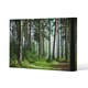 image 1 of Beautiful summer forest with different trees (Canvas Print) 152 x 101 x 4cm