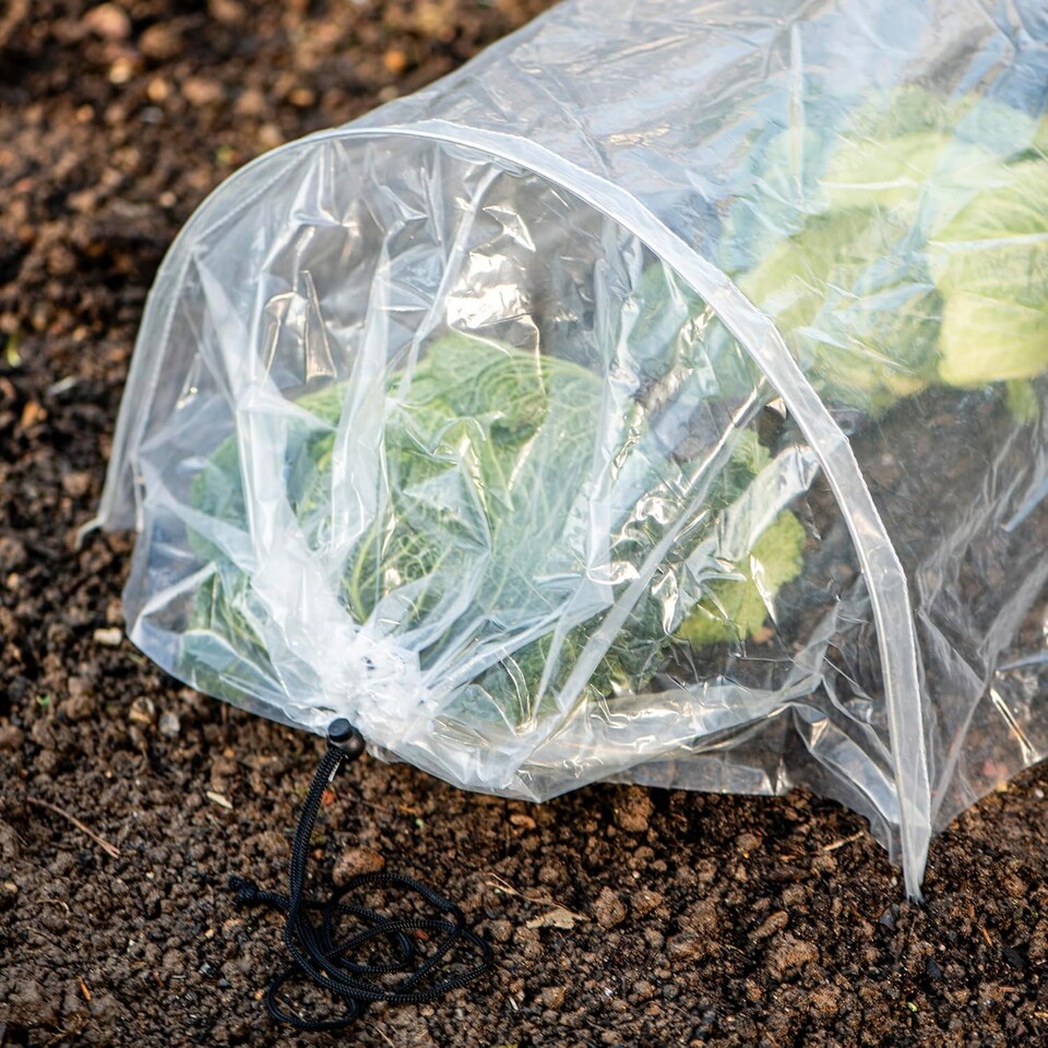 image 1 of Garden Gear PE Greenhouse Tunnel x 3 | Clear | 3