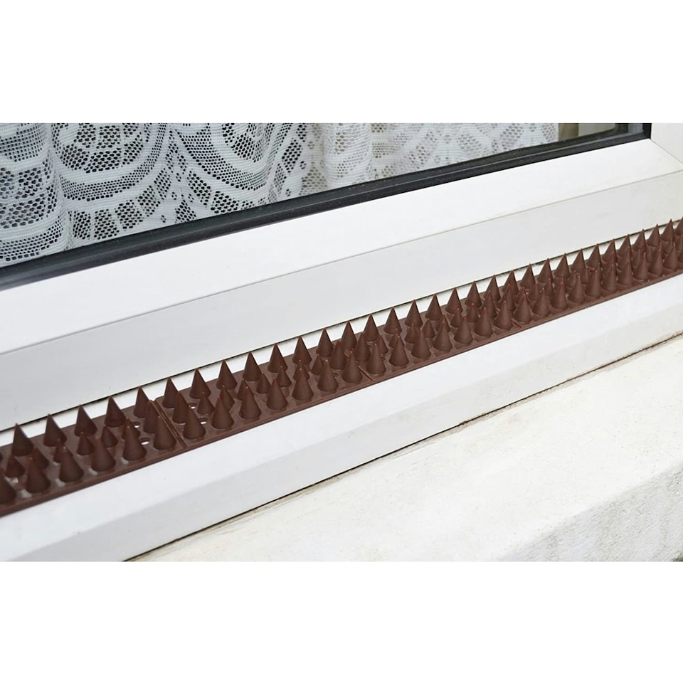 image 1 of SPARES2GO Security Spikes Bird Repellent for Garden Fence Wall Anti-Climb (10 Pcs, 5m)