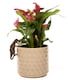 image 5 of Tyranasaurus Rex Plant Pot Hanger | Bronze