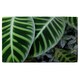 image 1 of yellow structure in exotic jungle setting Designer Bath Towel | Multi