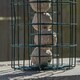 image 8 of Pack of 2 Samuel Alexander Metal Hanging Bird Fat Ball Feeder with Squirrel Guard & Pack of 6 Suet Fat Balls