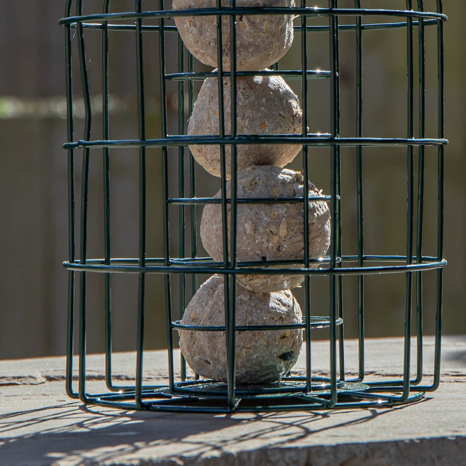 image 1 of Pack of 2 Samuel Alexander Metal Hanging Bird Fat Ball Feeder with Squirrel Guard & Pack of 6 Suet Fat Balls