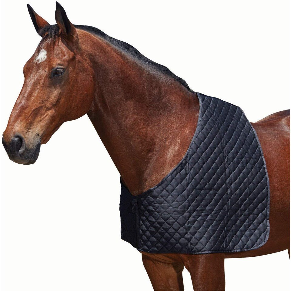 image 1 of Weatherbeeta Deluxe Shoulder Guard | Black | Black | Warmblood | 1