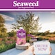 image 10 of Vitax Seaweed Plus with Sequestered Iron 500ml Liquid Fertiliser for Acid-Loving Plants Lawns & Garden Growth Tonic