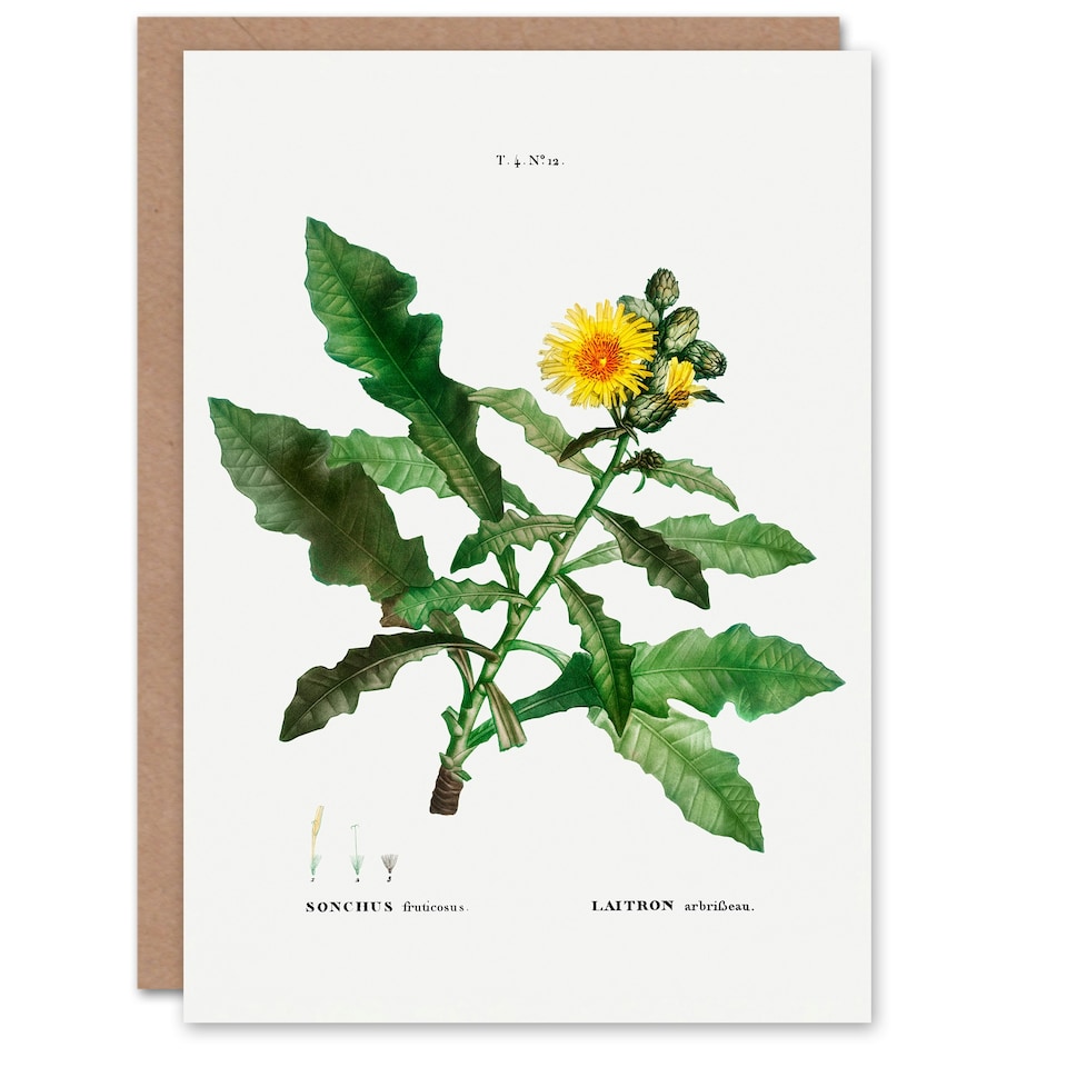 image 1 of Pierre-Joseph Redouté Art Card Sow Thistle Flower Bloom