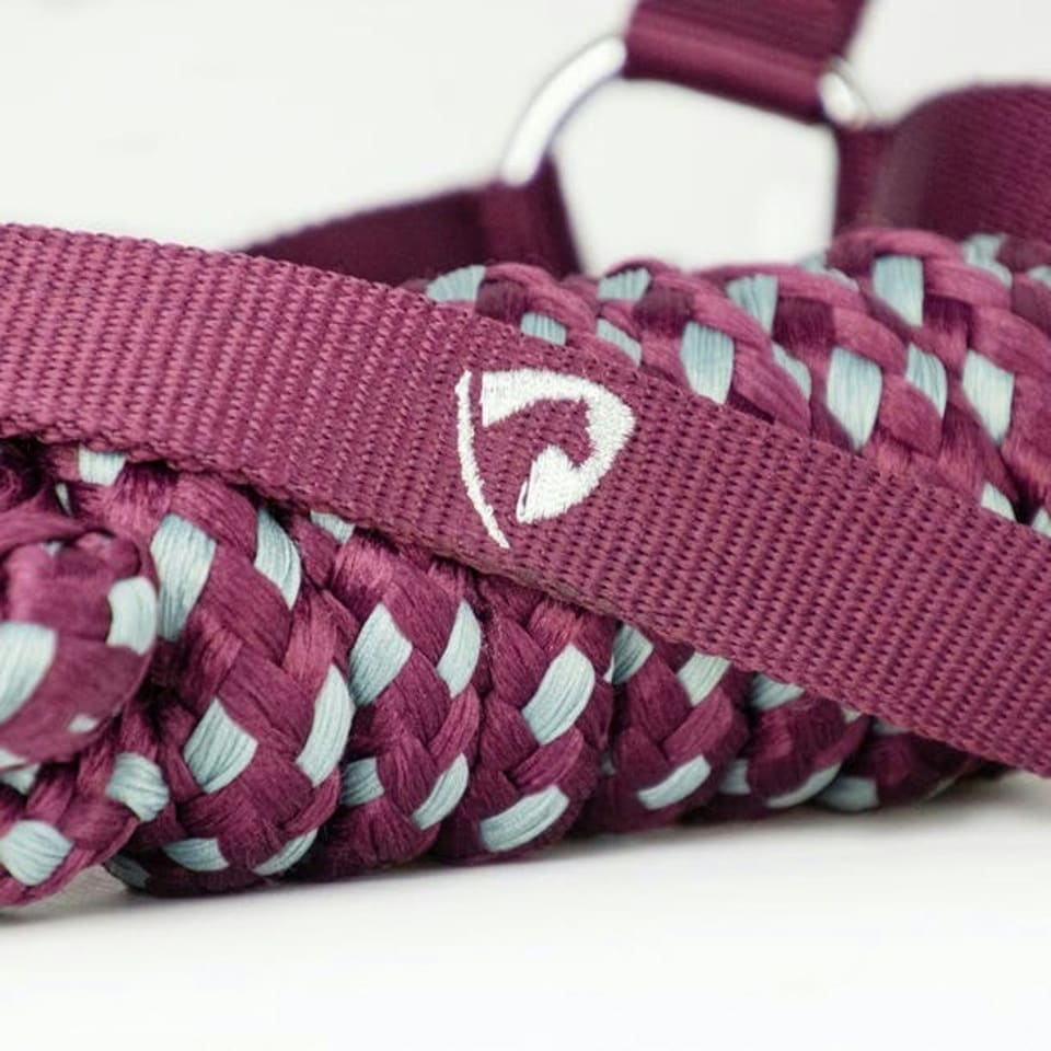 image 1 of Hy Synergy Horse Headcollar and Leadrope - Fig/Silver - Pony