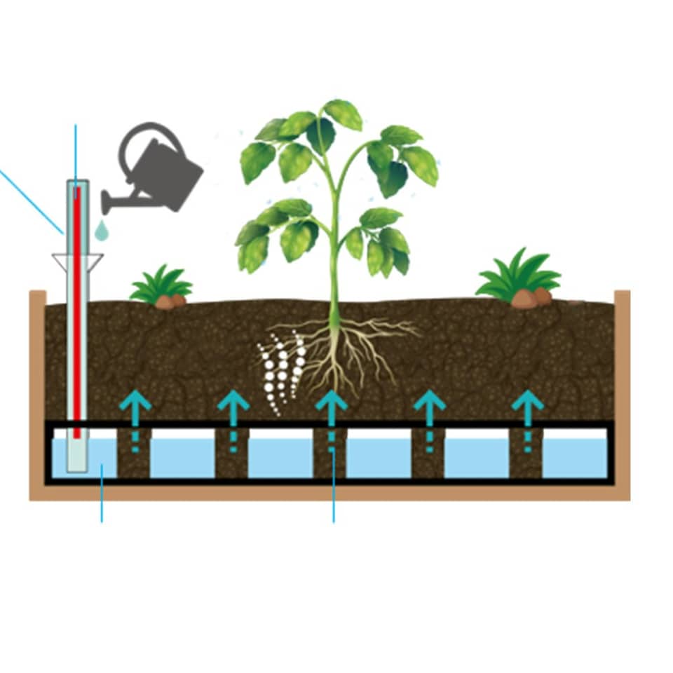 image 1 of VegTrug Self Watering Kit Small Wall Hugger