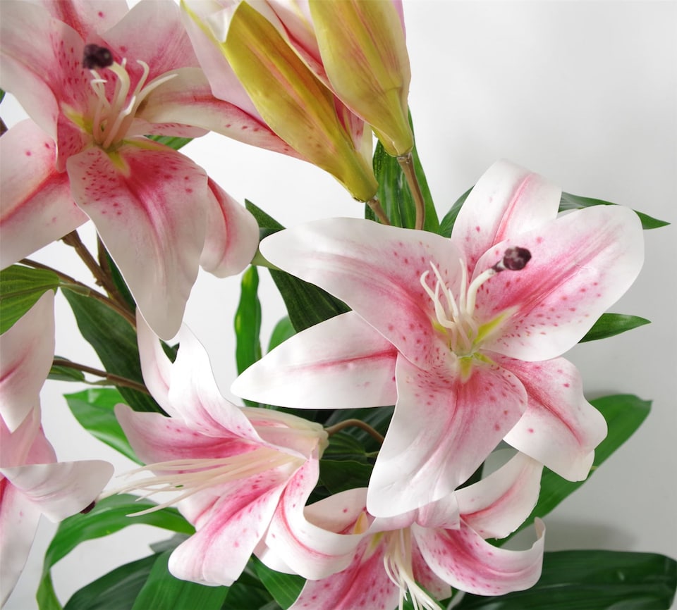 image 1 of 90cm (3ft) Artificial Lily Stargazer Style Lillies Plant Large Flowers Pink