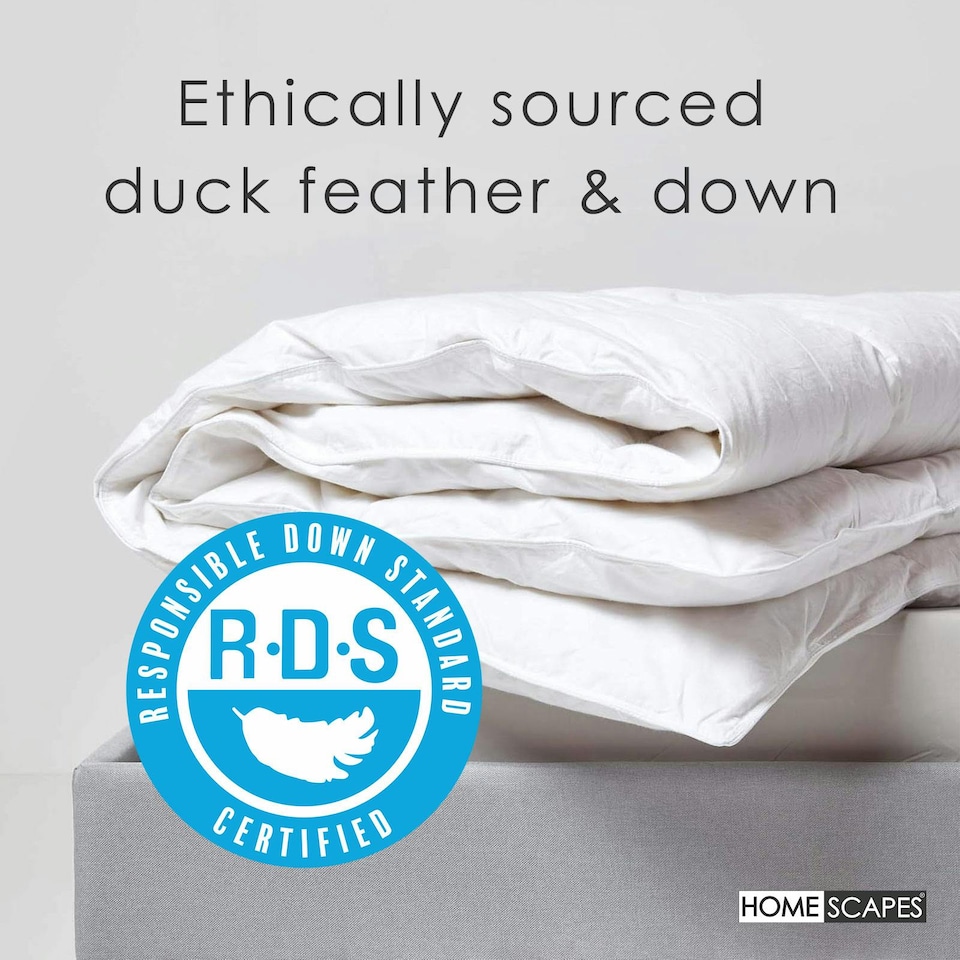 image 1 of Homescapes Duck Feather and Down All Season Duvet, Single | White | Single