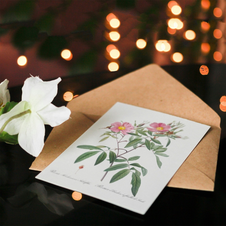 image 1 of Pierre-Joseph Redouté Art Card Hudson Swamp Rose Flowers
