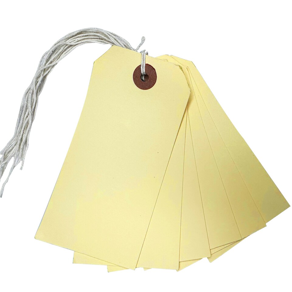 image 1 of Box of 1000 Ivory Strung Tags 120mm x 60mm