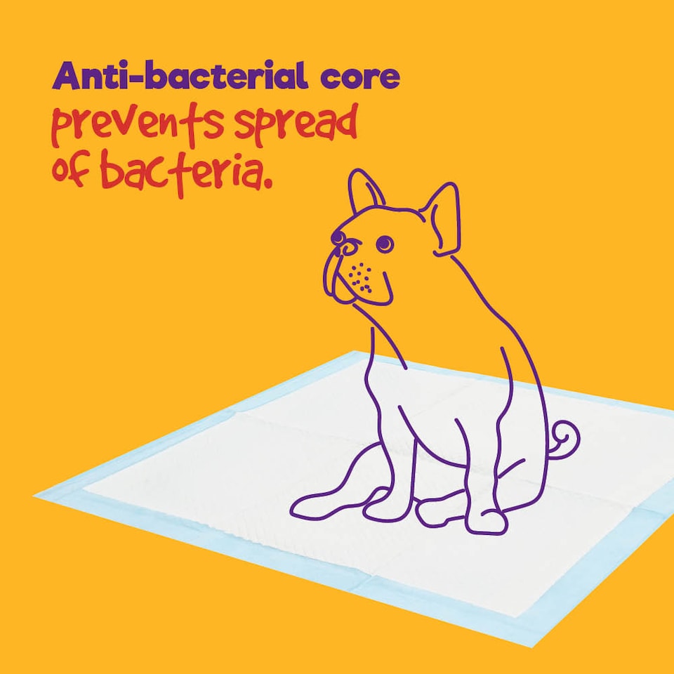 image 1 of Puppy Dog Kitten Toilet Training Pads Pack of 50 Medium