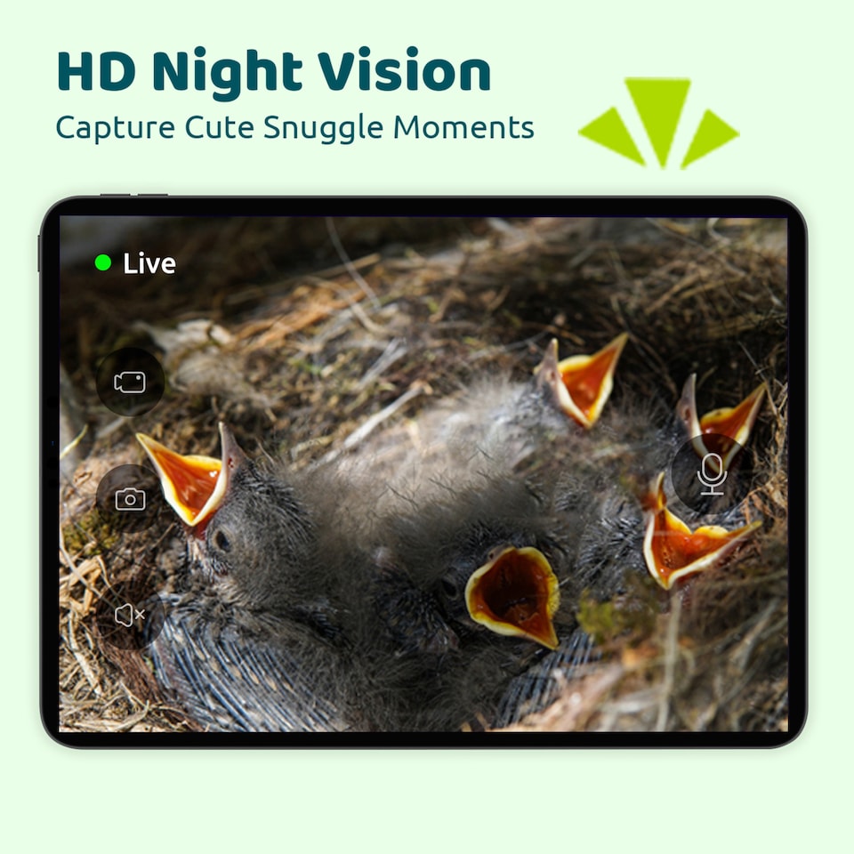 image 1 of BIRDFY EBONY LITE SMART BIRD HOUSE