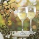 image 5 of LAV Empire White Wine Glasses - 245ml - Pack of 6