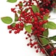 image 4 of Christmas Natural Look Red Berry Floristry Wreath 60cm 24 inch Large Luxury Botanik