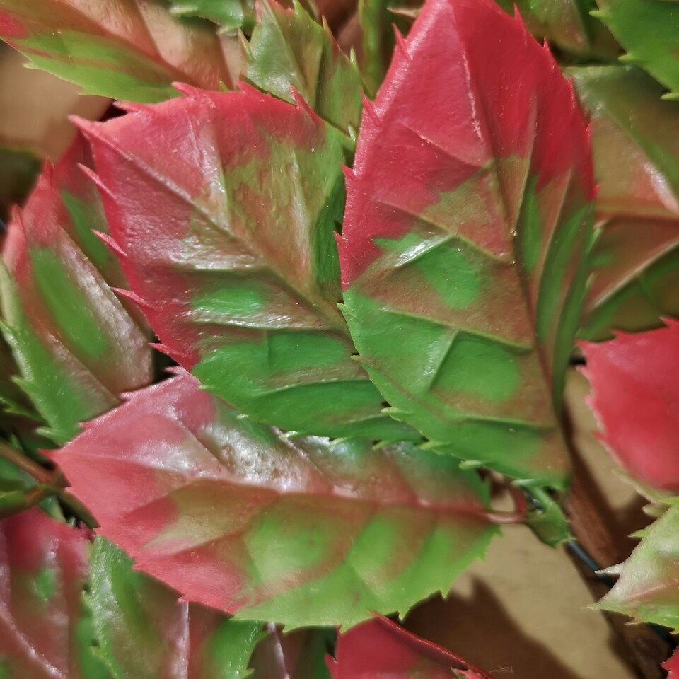 image 1 of 100cm x 200cm Artificial Fence Garden Trellis Privacy Screening Indoor Outdoor Wall Panel - Red Beech Leaf