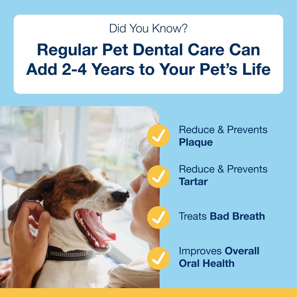 image 1 of ProDen PlaqueOff Veggie Mini Dental Bones for Small & Toy Dogs