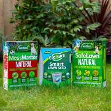 Westland Natural Lawn Rescue Bundle large 400m2