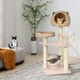 image 4 of COSTWAY 121 cm Tall Cat Tree Cat Climbing Tower Sisal