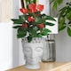image 10 of White Oval Face Planter Head Buddha Plant Pot Indoor Pot Cover L26.5 W25 H34 cm, 8.4 ltrs Cap.