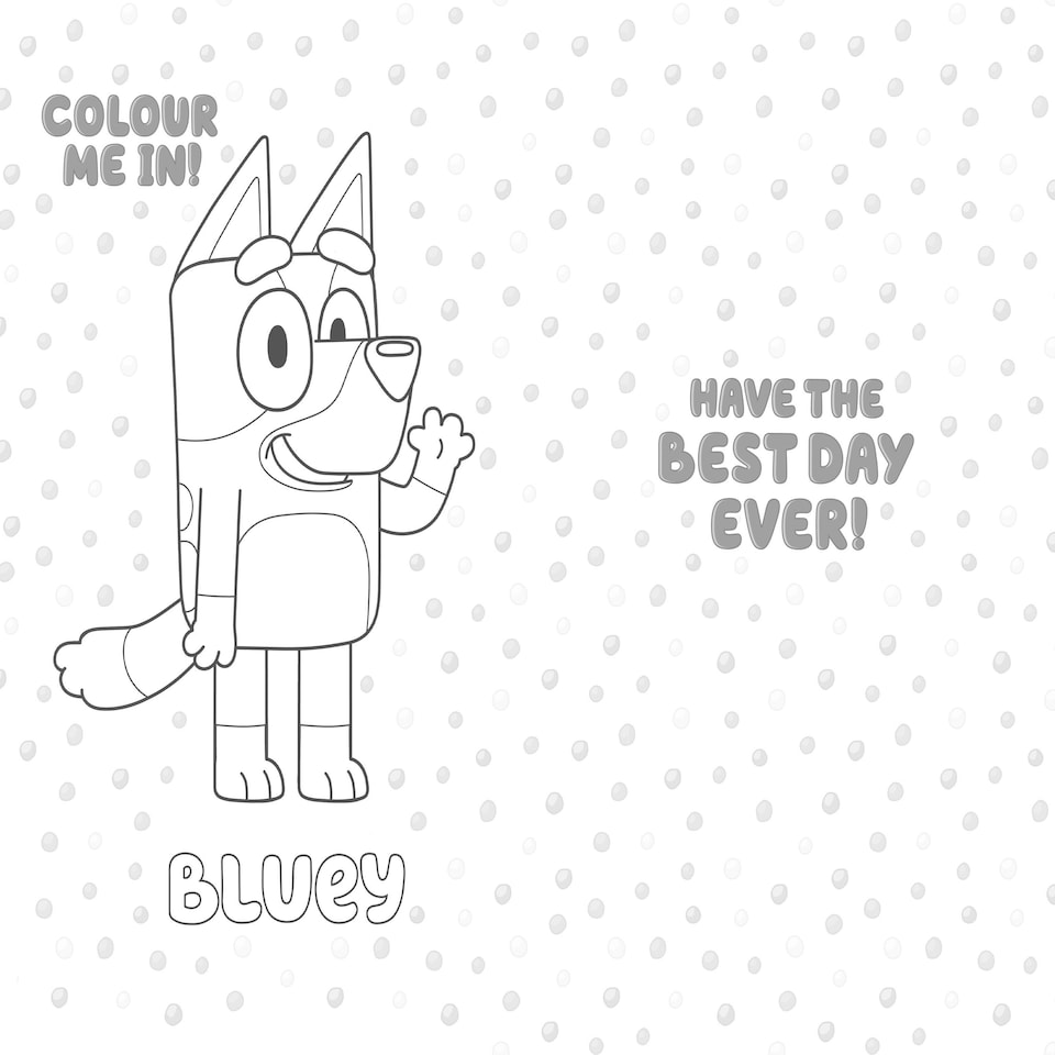 image 1 of Bluey 'Birthday Fun!' Birthday Card