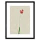 image 1 of Vintage Botanical Small Red Wildflower Bloom 9x7" Black Framed Wall Art Print