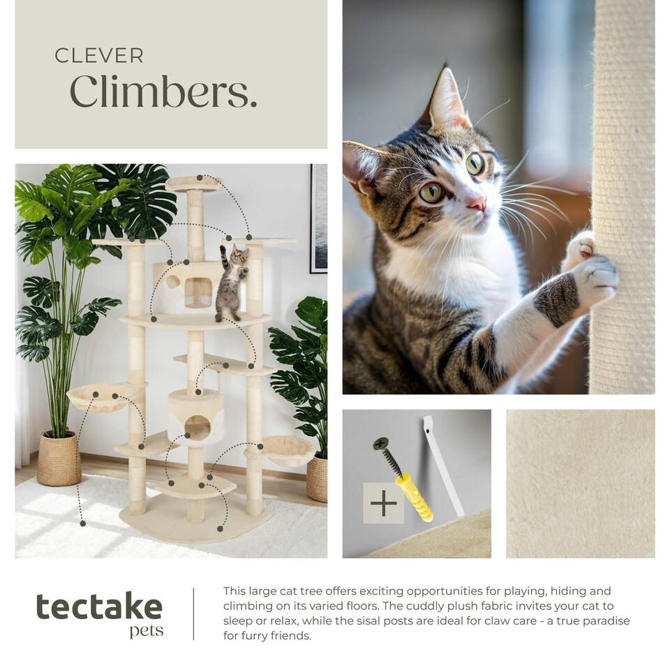 image 1 of Cat Tree Fippi - 201 cm tall, sisal cat scratching post, toy & anti-tip bracket - Beige/White