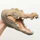 image 2 of Wild Thingz Crocodile Hand Puppet