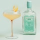 image 9 of Brighton Pavilion Strength Gin