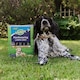 image 2 of Gro-Sure Hardwearing Lawn Seed 350 sqm Box